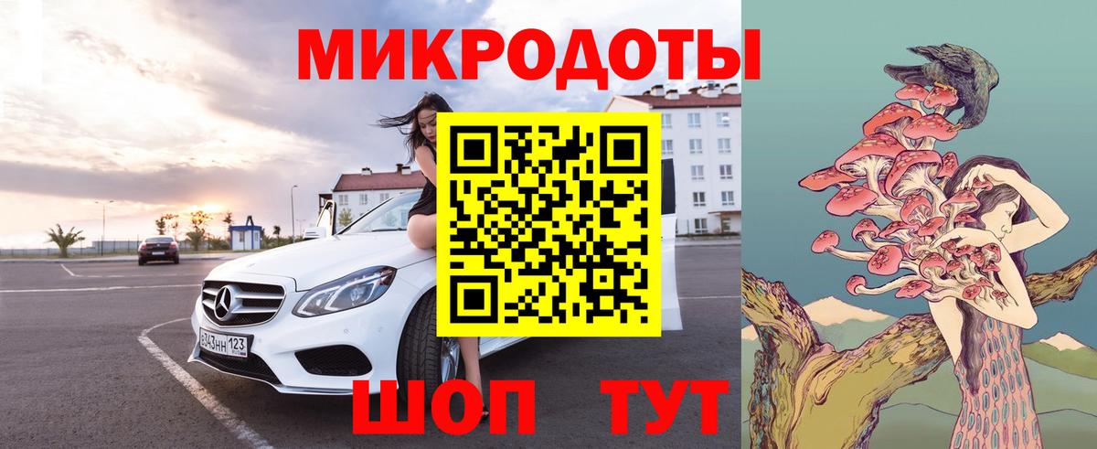 Лесной  Галлюциногенные грибы прущие грибы  Вход с VPN 
